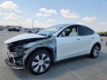  Salvage Tesla Model Y
