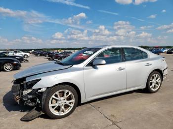  Salvage Nissan Maxima