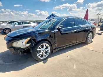  Salvage Nissan Maxima