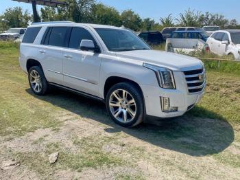  Salvage Cadillac Escalade