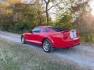 Ford Mustang Shelby Gt500 Image 5