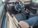 Ford Mustang Gt Image 3