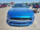 Ford Mustang Gt Image 12