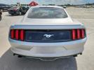 Ford Mustang Image 2