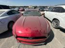 Ford Mustang Image 2