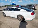 Ford Mustang Image 3