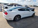 Ford Mustang Image 7