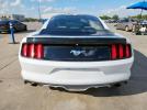 Ford Mustang Image 2