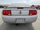 Ford Mustang Image 3