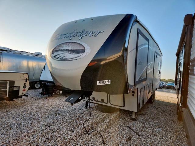 Wildwood Sandpiper Image 6