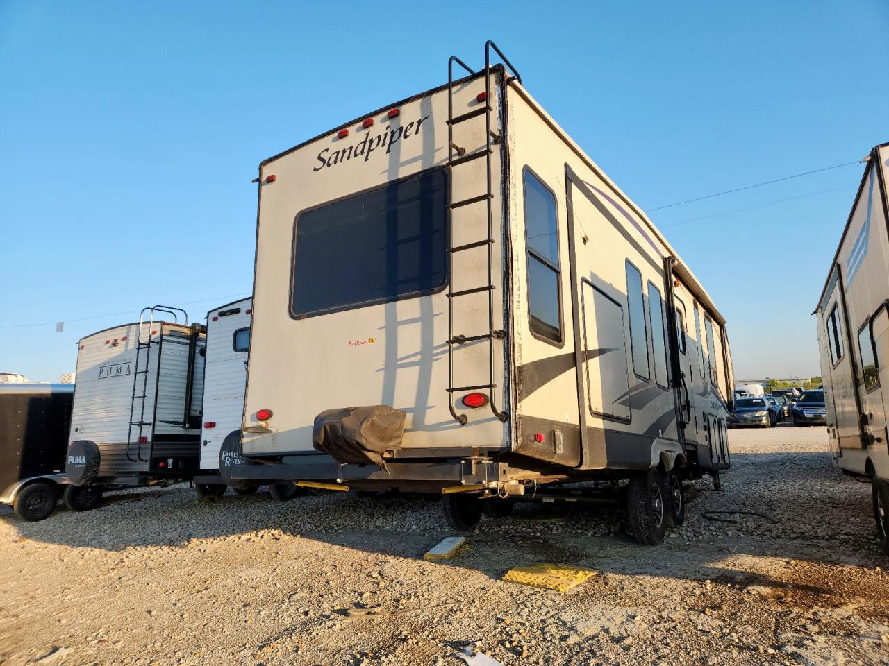 Wildwood Sandpiper Image 5