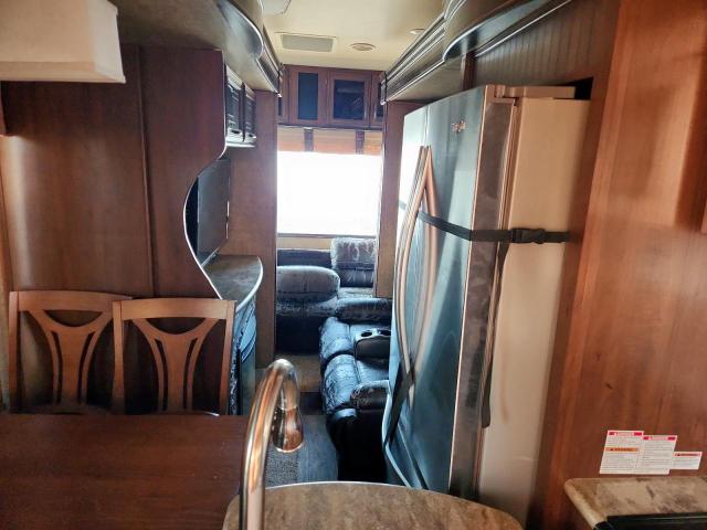 Wildwood Sandpiper Image 4