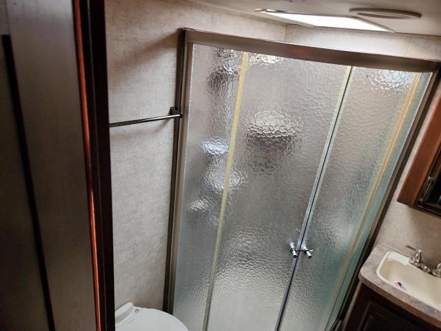 Wildwood Sandpiper Image 8