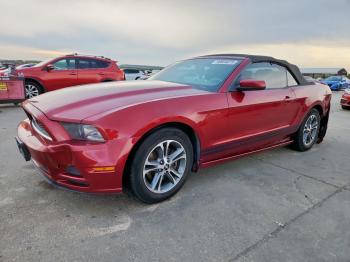  Salvage Ford Mustang