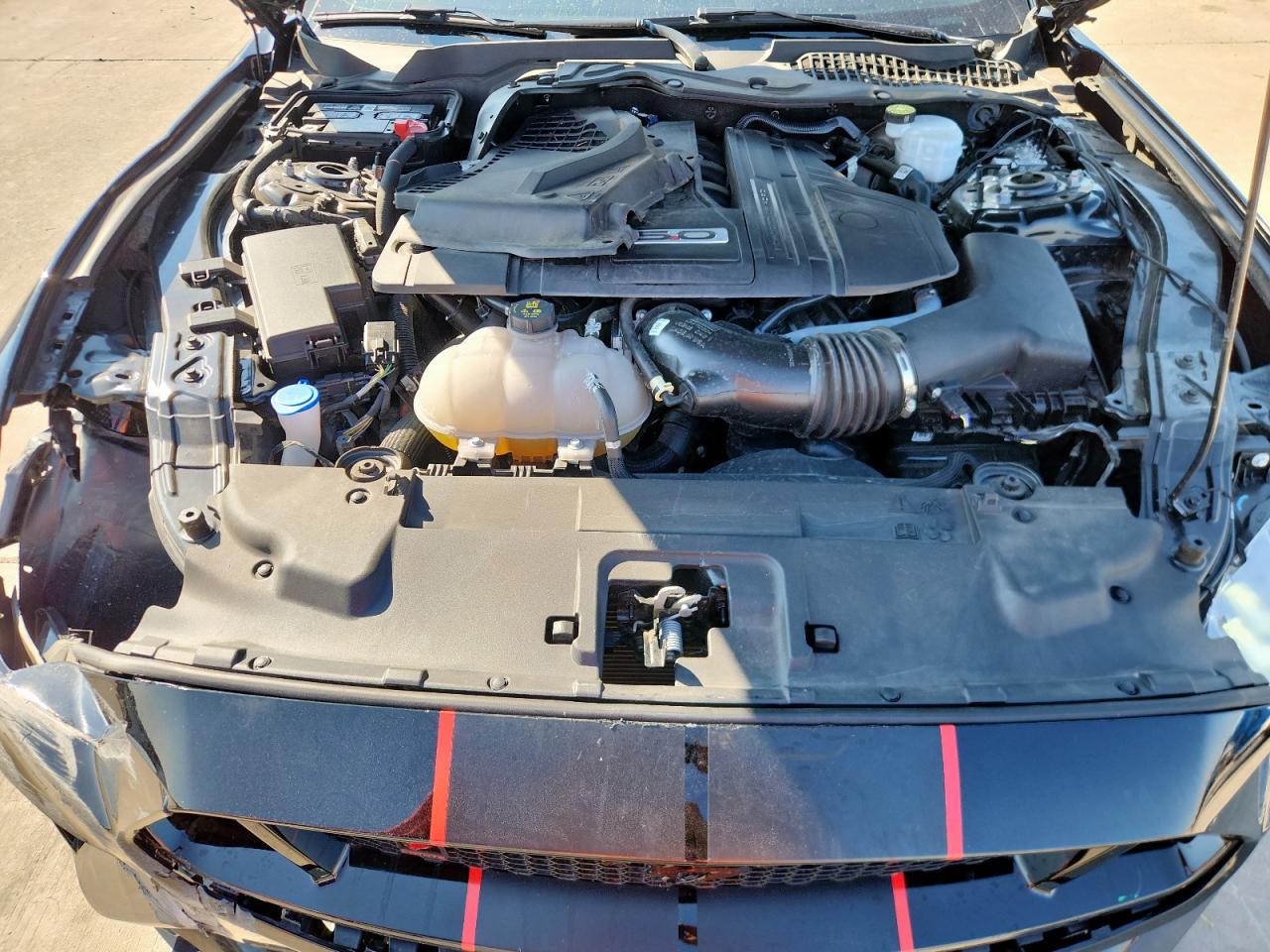 Ford Mustang Gt Image 9