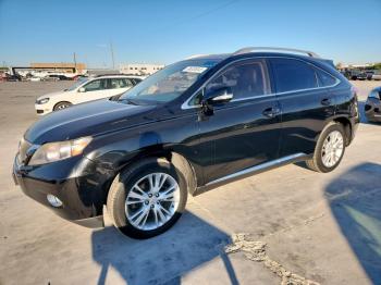 Salvage Lexus RX