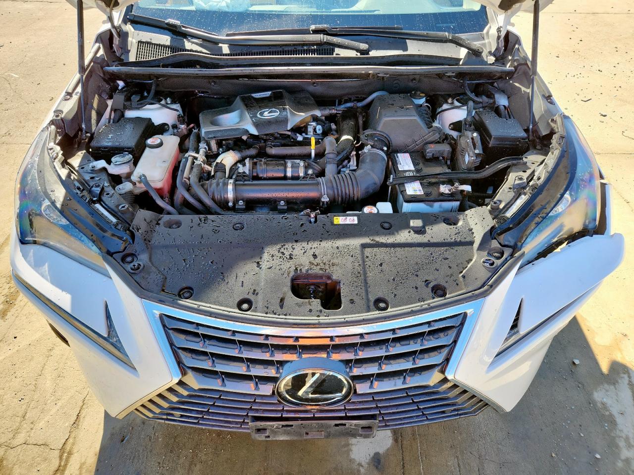 Lexus NX 300 Base Image 3