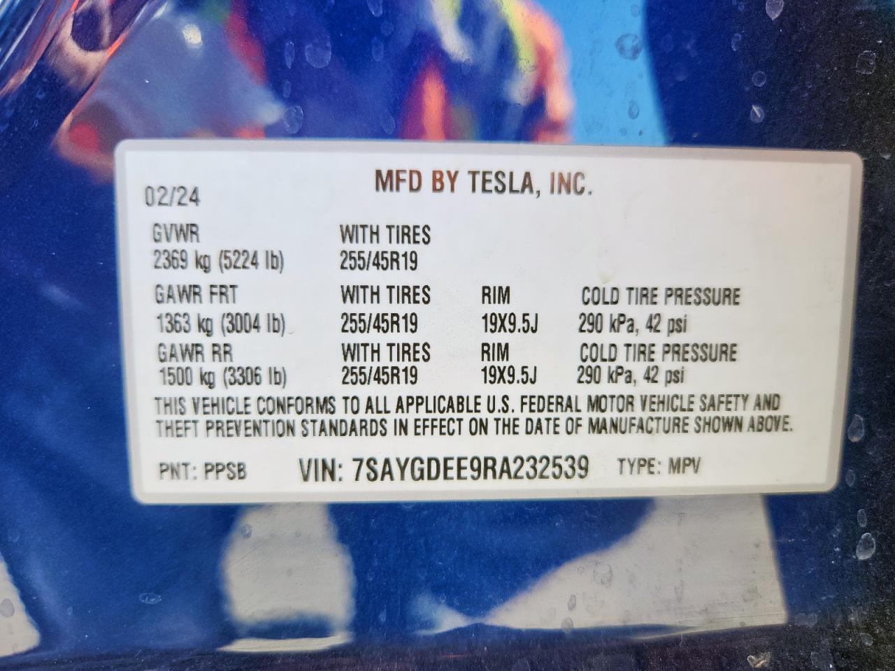 Tesla Model Y Image 5