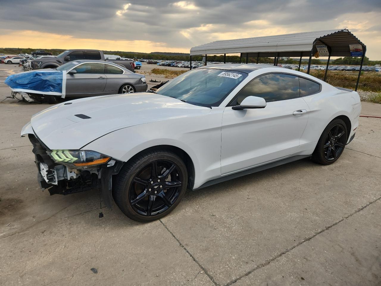 Ford Mustang Image 1