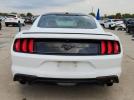Ford Mustang Image 4