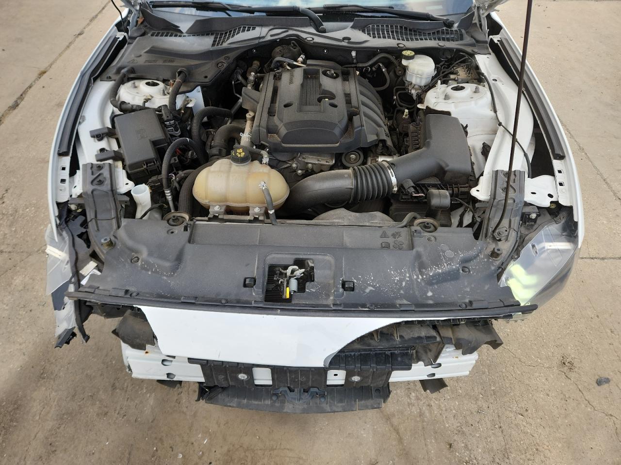 Ford Mustang Image 6