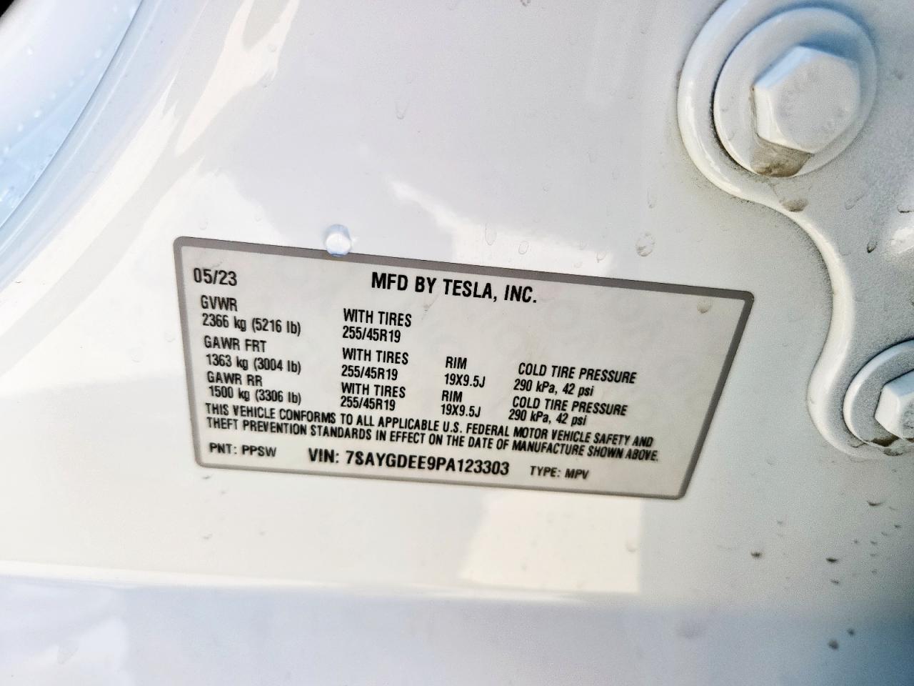 Tesla Model Y Image 5