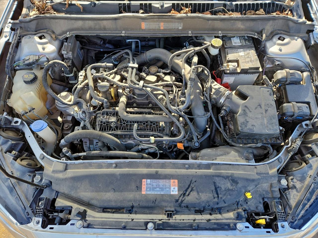 Ford Fusion Se Image 6