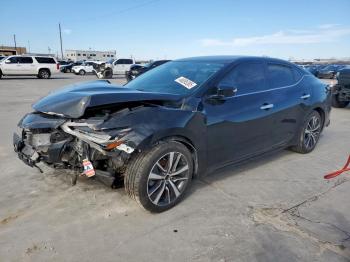  Salvage Nissan Maxima