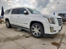 Cadillac Escalade Esv Luxury Image 2