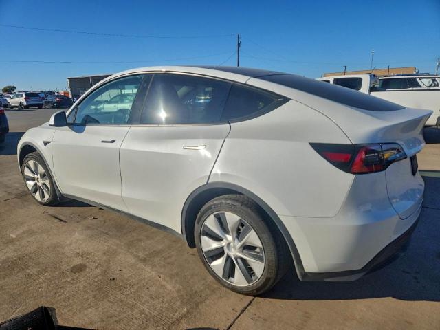 Tesla Model Y Image 2