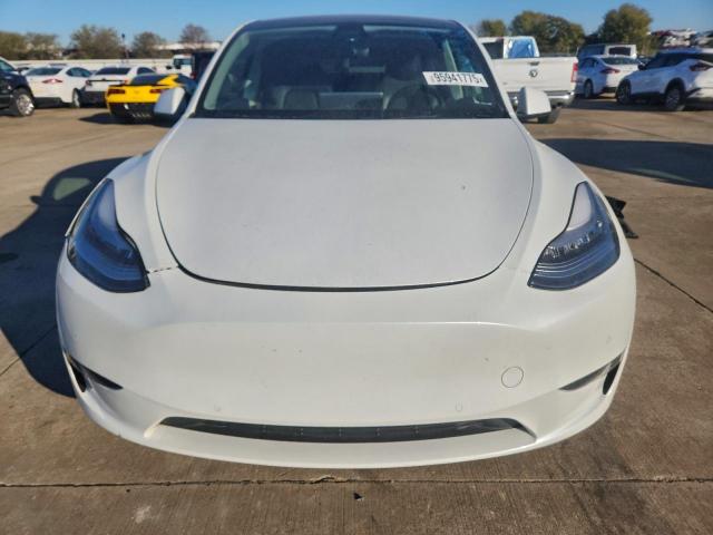 Tesla Model Y Image 5