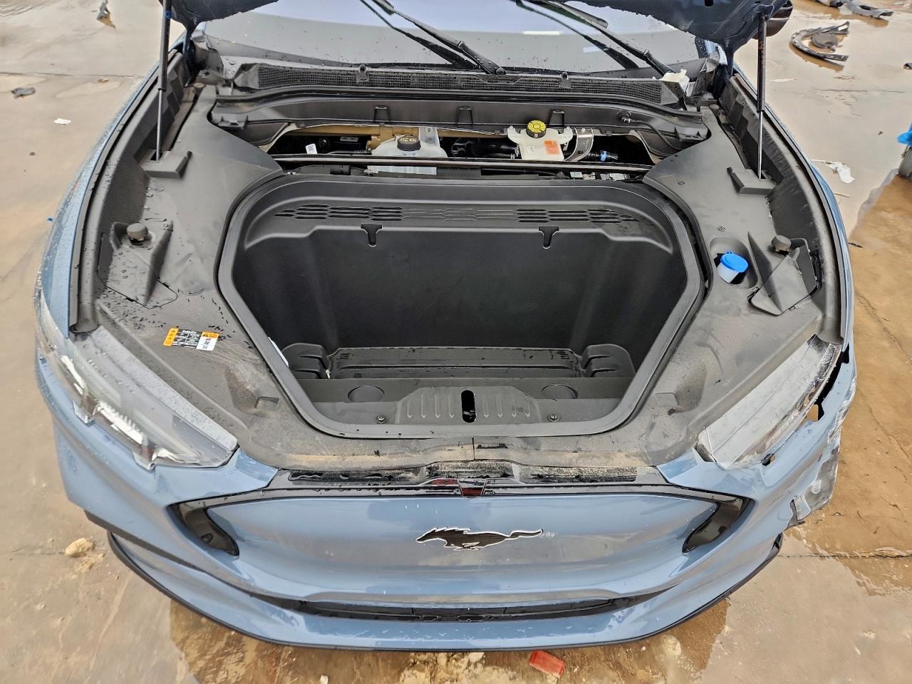 Ford Mustang Premium Image 13