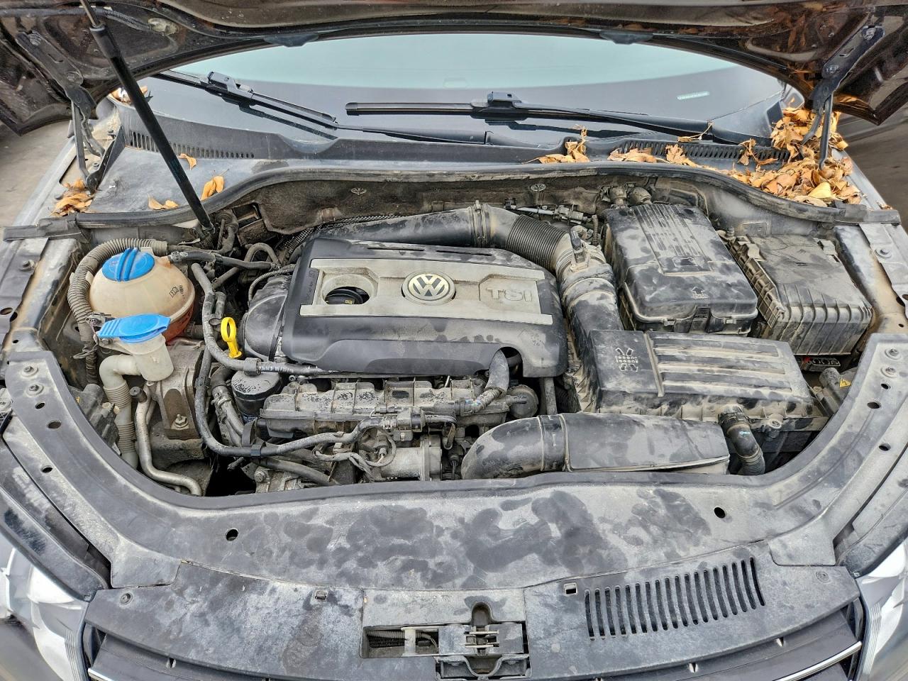 Volkswagen Eos Lux Image 6