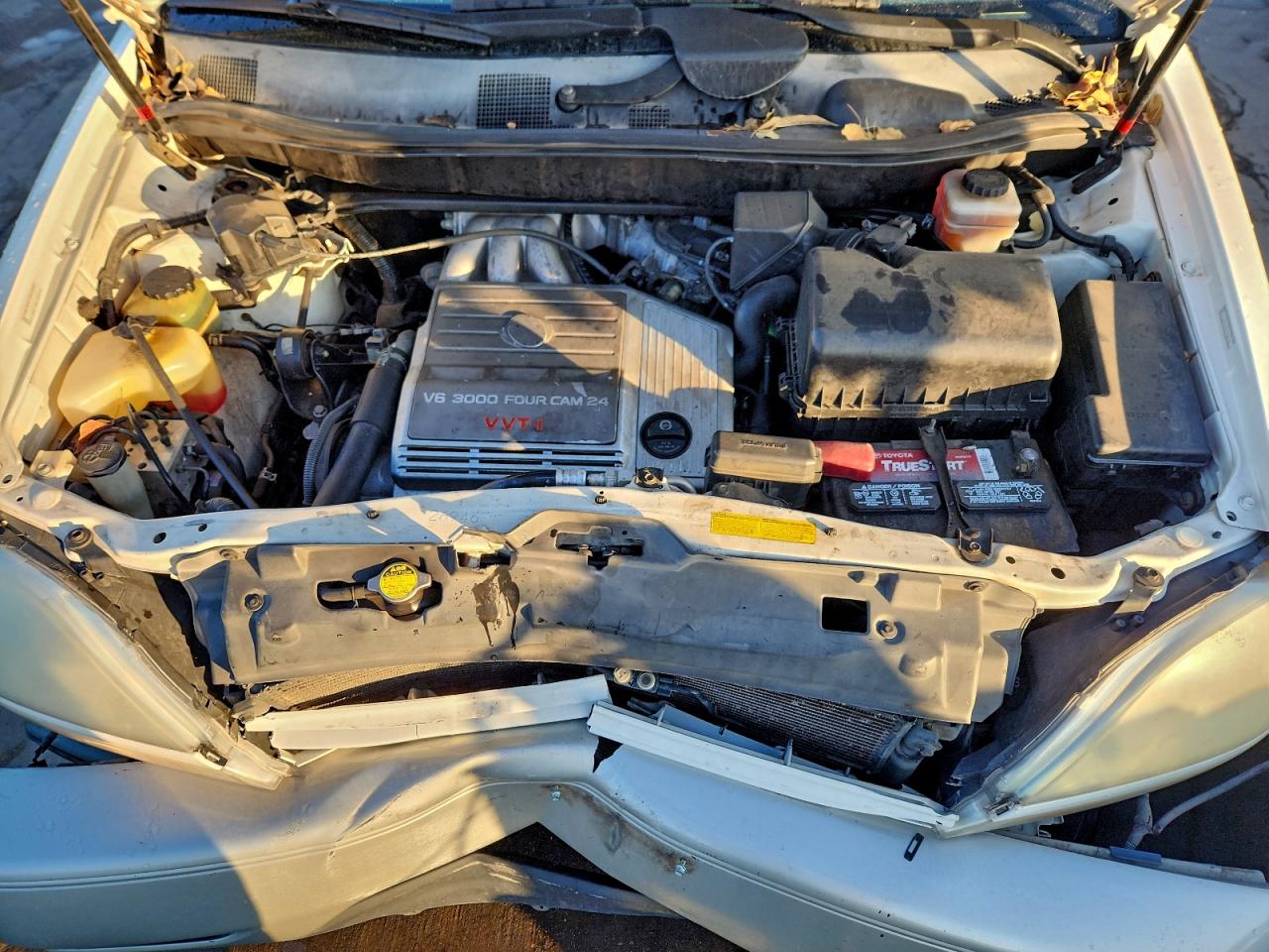 Lexus RX 300 Image 14