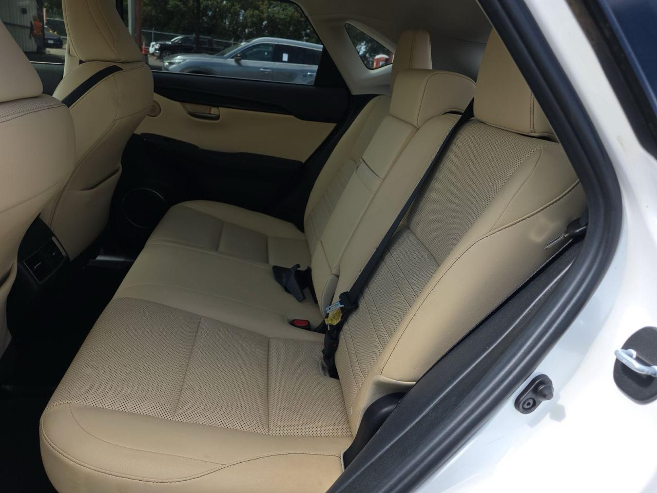 Lexus NX 300h Image 3