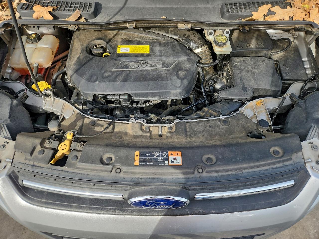 Ford Escape Se Image 12