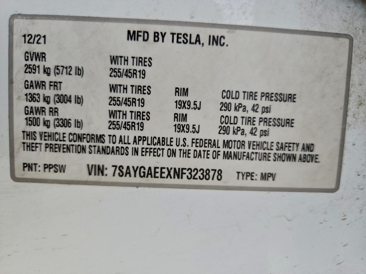 Tesla Model Y Image 9