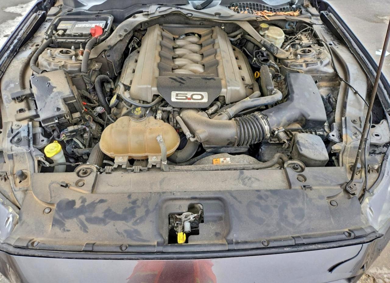 Ford Mustang Gt Image 11