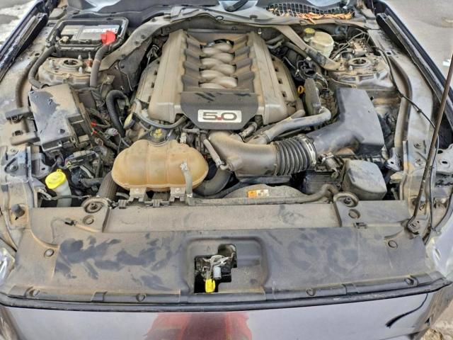 Ford Mustang Gt Image 11