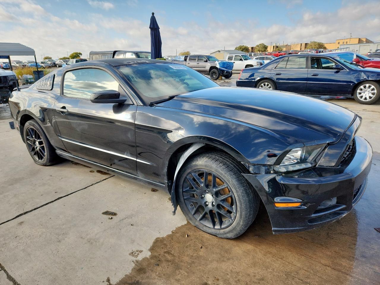 Ford Mustang Image 11