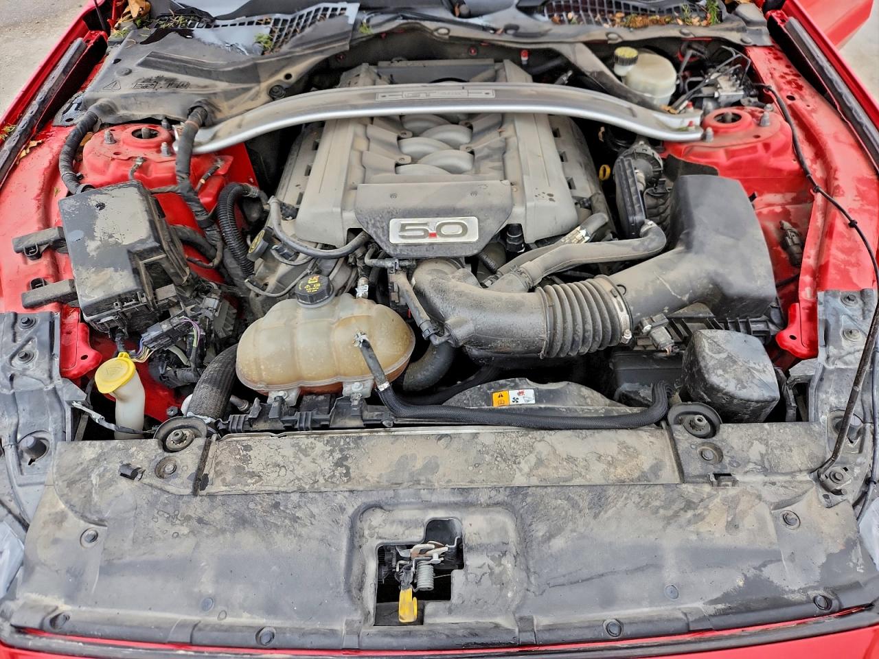 Ford Mustang Gt Image 13