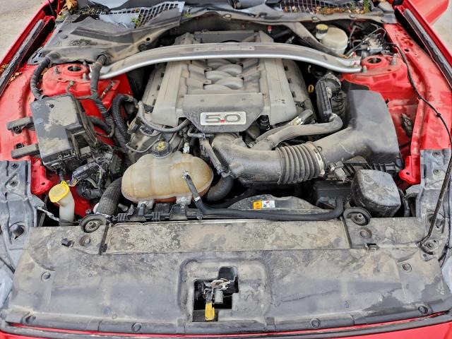 Ford Mustang Gt Image 13