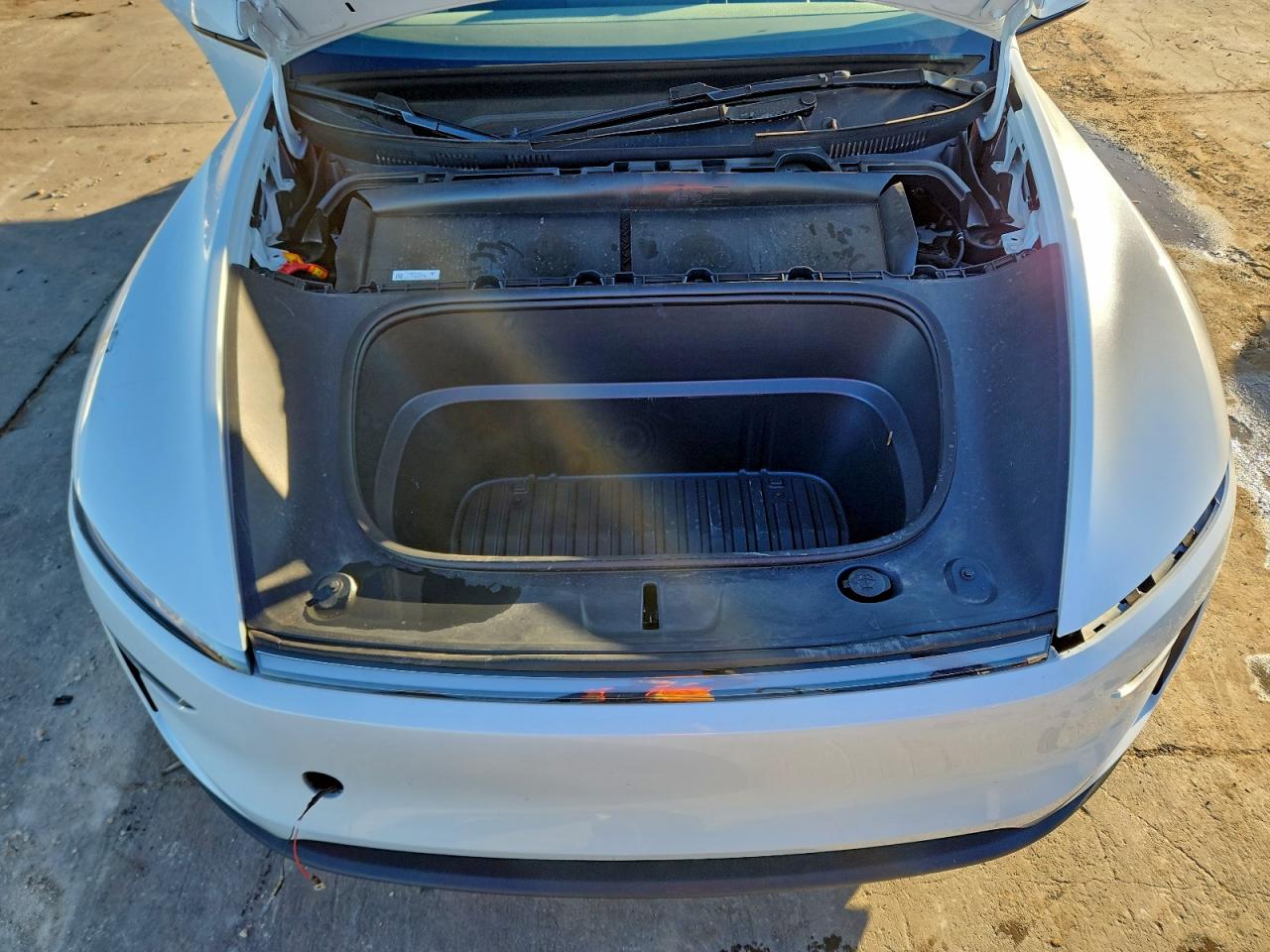 Tesla Model Y Image 5