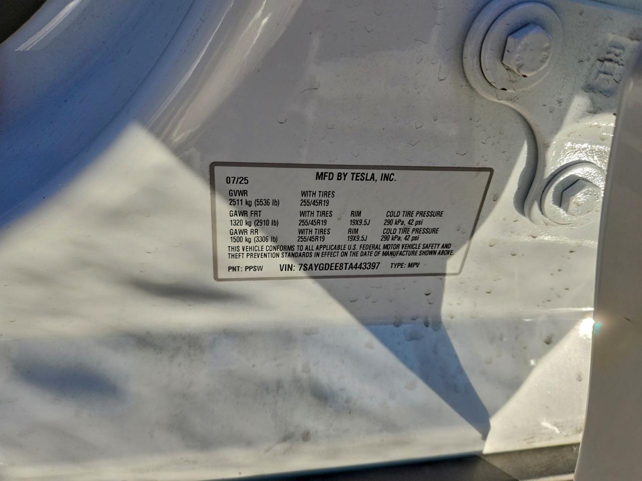 Tesla Model Y Image 8