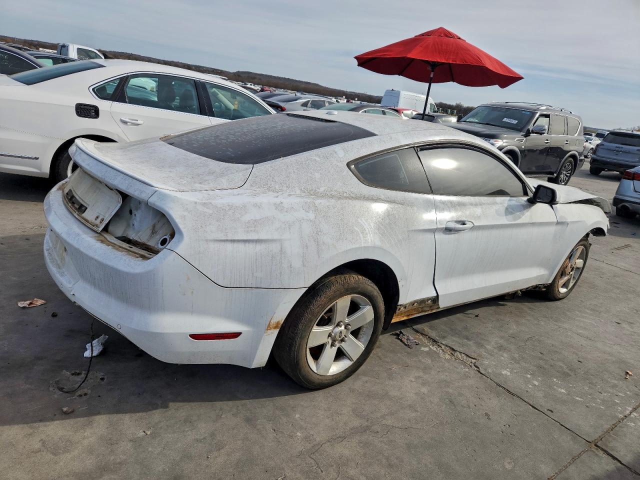 Ford Mustang Image 4