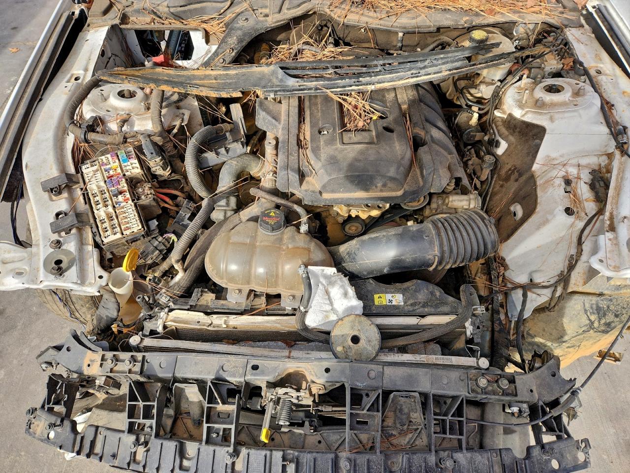 Ford Mustang Image 12