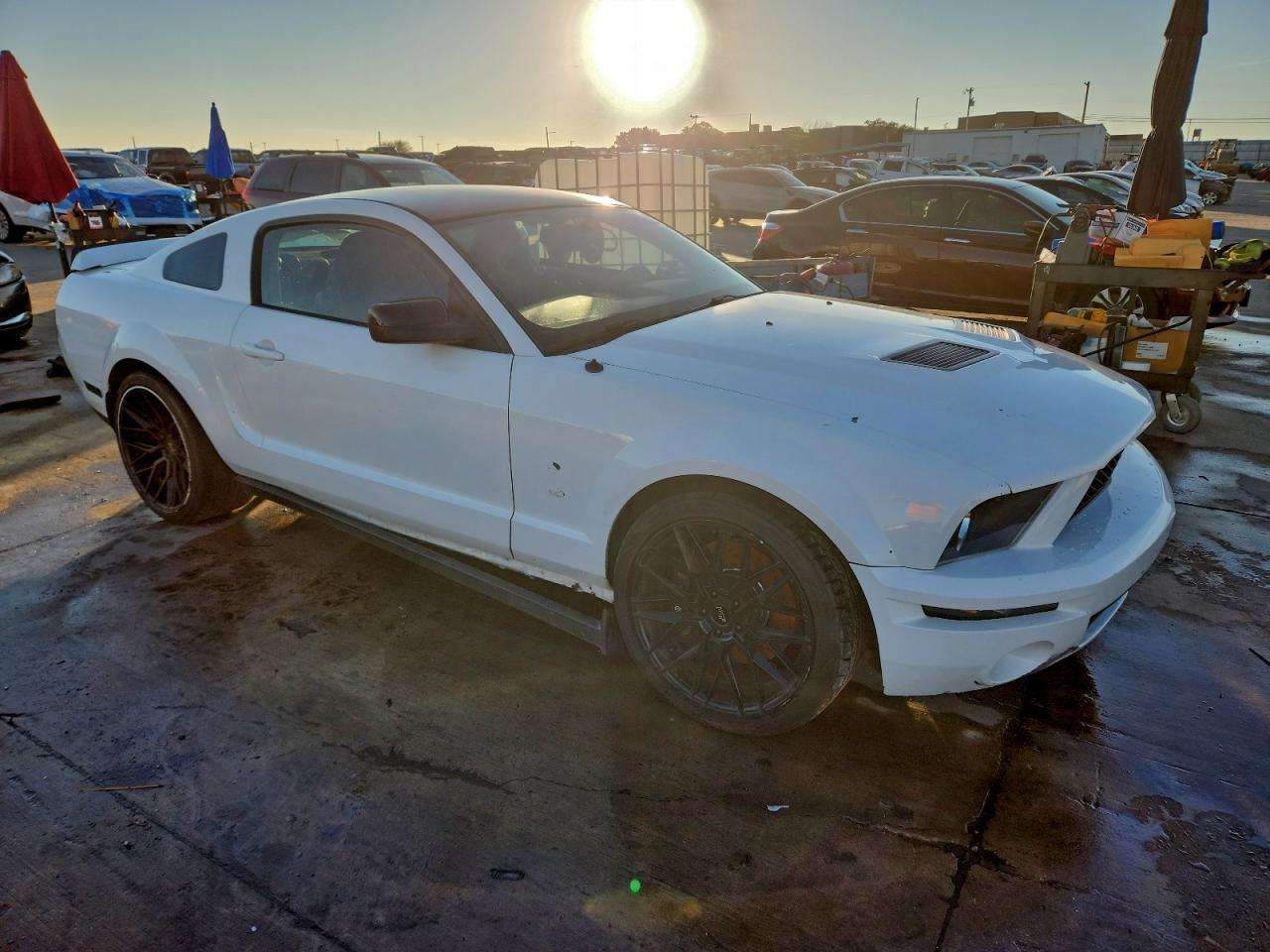 Ford Mustang Shelby Gt500 Image 8