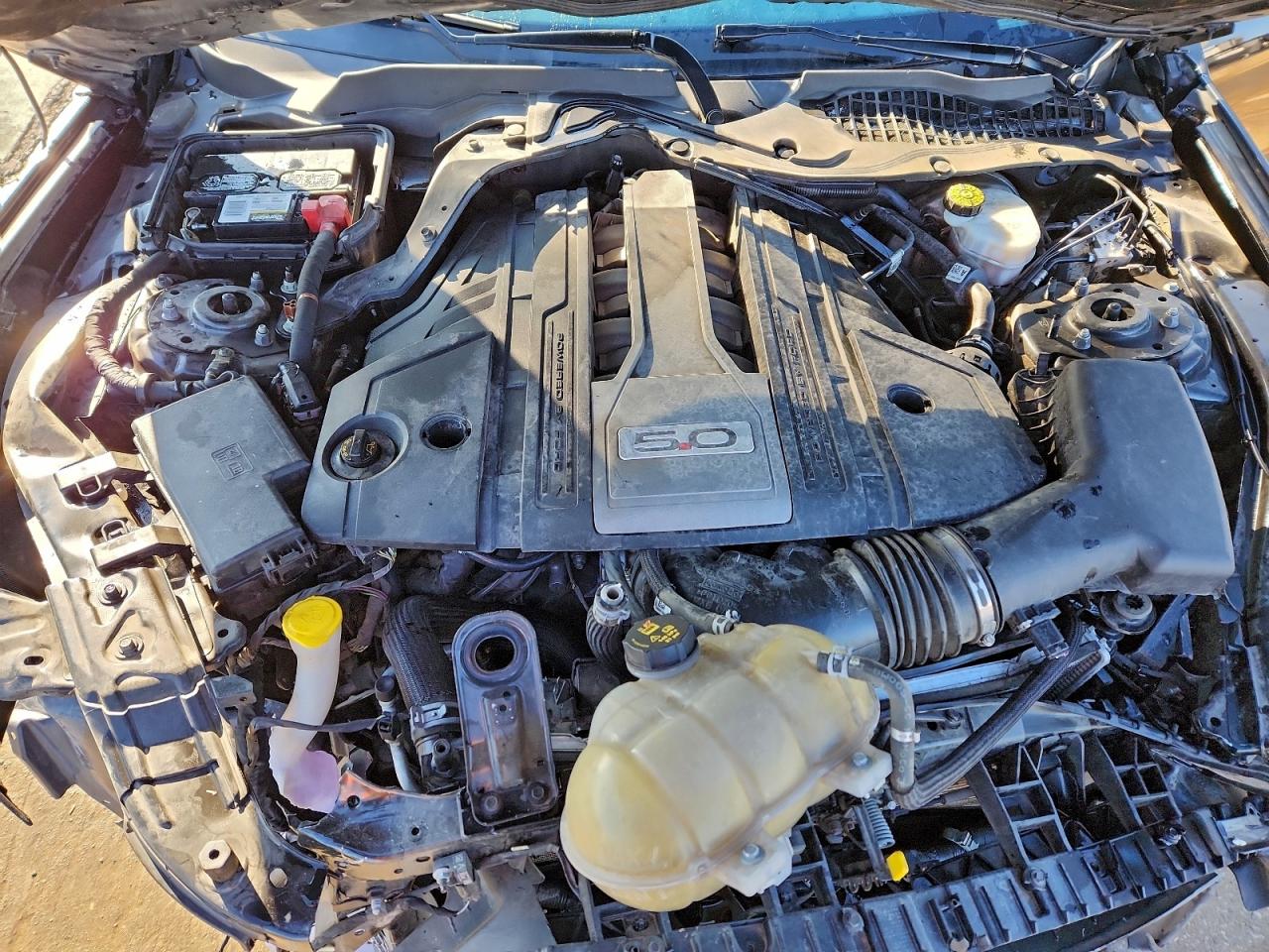 Ford Mustang Gt Image 13