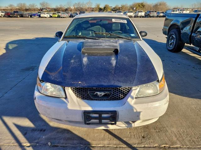 Ford Mustang Image 2