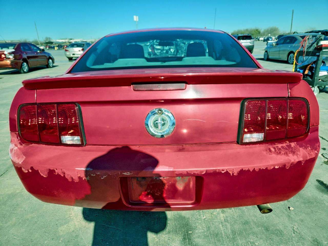 Ford Mustang Image 3